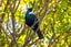 0 Ruakaka Bay, Ruakaka Bay, MARLBOROUGH SOUNDS - Carousel 30