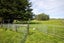 657 Domett Road, Domett, Cheviot - Carousel 6