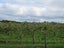7281 State Highway 1, PAKARAKA, KAIKOHE - Carousel 12