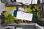 7 Wally Nola Place, Henderson, Auckland - Carousel 23