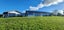 363 Pukehangi Road, Sunnybrook, Rotorua - Carousel 22