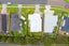 8 Te Puru Drive, Maraetai, Auckland - Carousel 4