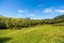 47 Witheford Road, Wharehine, Wellsford - Carousel 20