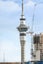 3207/10 Commerce Street, Auckland Central, Auckland - Carousel 16