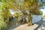 11 Sinclair Avenue, Highbury, Palmerston North - Carousel 20