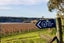 0 Nursery Road, Queensberry - Carousel 10