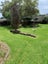 369 Maungatapu Road, Maungatapu, Tauranga - Carousel 10