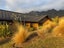 6A Kinross Lane, Jacks Point, Queenstown-Lakes, Otago - Carousel 40