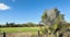 206 Okaeria Road, Waerenga - Carousel 4