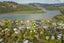 13 Admiral Drive, Cooks Beach, Whitianga - Carousel 1