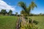 10 Te Ranginui Place, Karikari Peninsula, Karikari Peninsula - Carousel 22