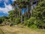 146 Pembroke Road, Wilton, Wellington - Carousel 11