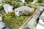 24 Kiteroa Terrace, Rothesay Bay, Auckland - Carousel 1