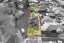 21 Milton Road, Papatoetoe, Manukau City, Auckland - Carousel 3