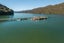 361 Anakiwa Road, Anakiwa, Linkwater - Carousel 22