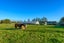 0 Carters Road, Lincoln, Christchurch - Carousel 34
