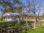 430 Kohinui Road, Pahiatua - Carousel 19