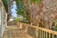 1/405 East Coast Road, Mairangi Bay, Auckland - Carousel 7