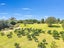 23 Collins Lane, Te Puke, Te Puke - Carousel 24