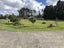 970 Kahikatea Flat Road, Kaukapakapa - Carousel 12