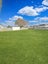 31 Hudson Avenue, Bulls - Carousel 12
