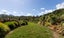735 Maratoto Road, Hikutaia, Paeroa - Carousel 21