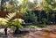 20B Orakei Road, Remuera, Auckland - Carousel 7