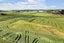 69 Tahurangatira Road, Karioitahi, Waiuku - Carousel 5