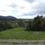 141 Puhunga Road, Waipiro - Carousel 9