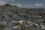 2/21 Scott Avenue, Mangere Bridge, Auckland - Carousel 15