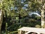 497 Joyce Road, Pyes Pa, Tauranga - Carousel 4
