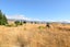 73 The Drive, Twizel - Carousel 3