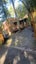52 Park Hill Road, Birkenhead, Auckland - Carousel 2