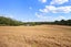 157 Barrett Road, Albany - Carousel 25
