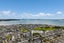 42 Myland Drive, Hobsonville, Auckland - Carousel 27