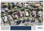 31 John Downs Drive, Browns Bay, Auckland - Carousel 23