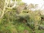6 Turriff Crescent, Tawa, Wellington - Carousel 25