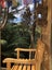 128 Lone Kauri Road, Karekare, Auckland - Carousel 5