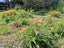 1124B WAINUI ROAD, Wainui, wainui - Carousel 34