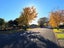 61 Argyle Avenue, Takaro, Palmerston North - Carousel 27