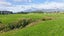 Lots 1,3,4 Korito Road, Egmont Village, New Plymouth, Taranaki - Carousel 7