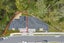 42 Drumbuoy Drive, Flat Bush, Auckland - Carousel 4