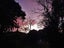 583 Kopuku Road, Maramarua Forest, Te Kauwhata - Carousel 36