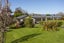 18 Glen Mohr, Acacia Bay, Taupo - Carousel 9