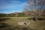 646 Dalmeny Road, MacDonald Downs, Hawarden - Carousel 29