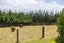306A Woodside Road, Woodside, Greytown - Carousel 35