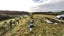 3 Big Paddock, BLUE SPUR, HOKITIKA - Carousel 5