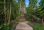 54 The Avenue, Albany, Auckland - Carousel 16