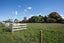 8 Dalziel Road, Waerenga - Carousel 20