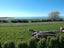 1125 Waianakarua Road, Kakanui - Carousel 34